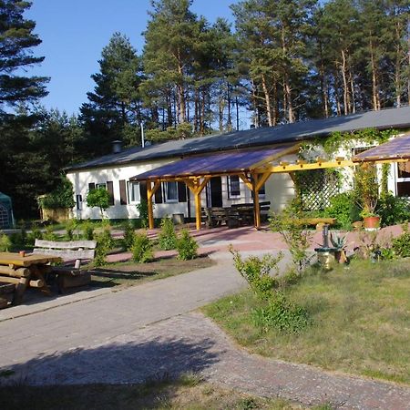 Hostel Waldhaus Am Ferienpark Mirow -Zimmer Du Wc Exteriör bild